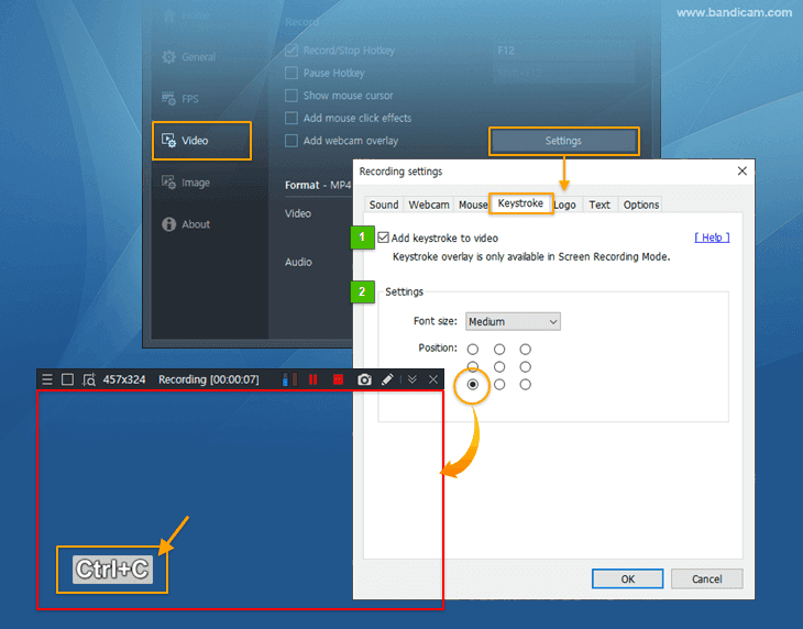 Keystroke capture and display