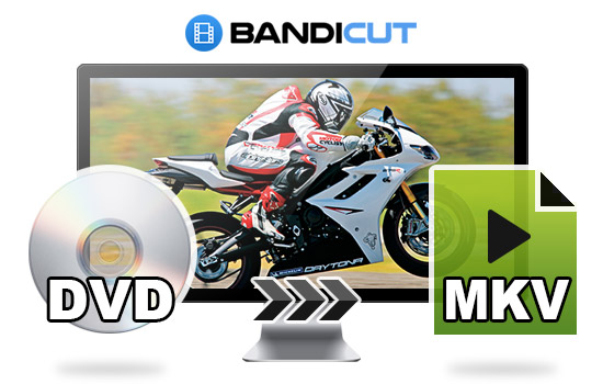 DVD to MKV Converter