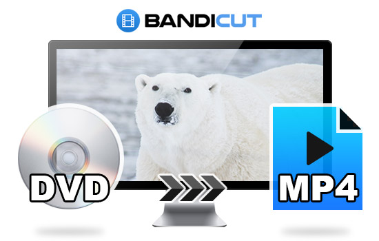 DVD to MP4 Converter