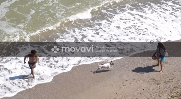 movavi free, movavi watermark