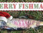 Merry Fish-mas, everybody!