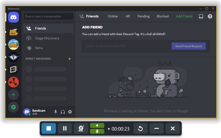 record discord video with Snagit, Snagit