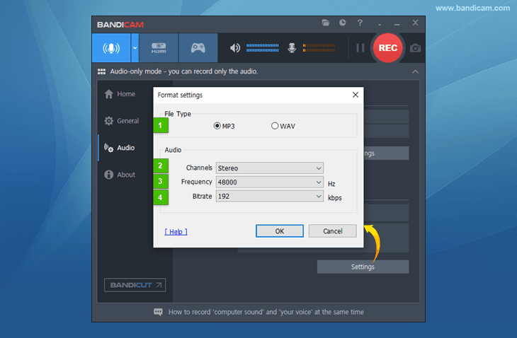 audio file as an MP3 or WAV