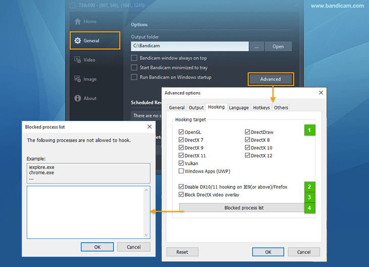 Bandicam - Hooking settings