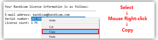 copying and paste, Bandicam