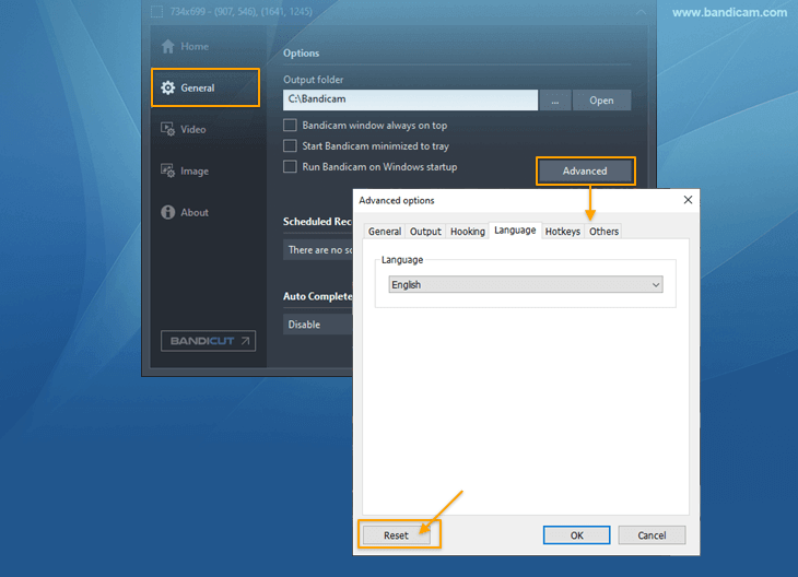 Reset Bandicam settings