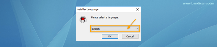 Bandicam setup - Select a language