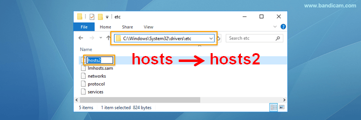 Check your hosts file