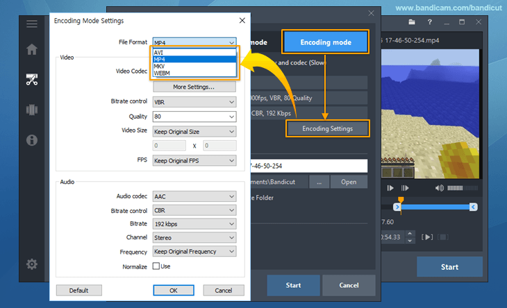 MKV to MP4, MKV to AVI, MKV to MKV, MKV to WebM