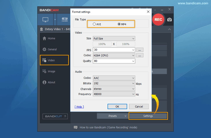 mp4 file type, bandicam