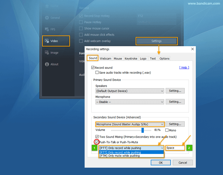 Bandicam, push to talk or to mute