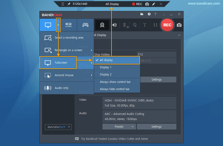 record multiple monitors