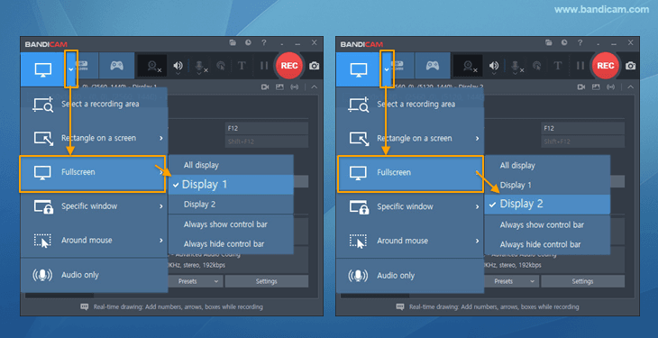 Record dual monitors separately