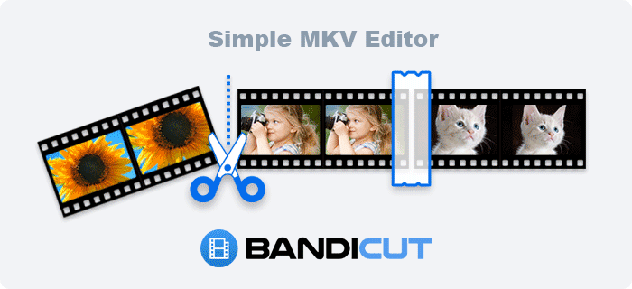 Simple Video Editor, Simple MKV Editor, Bandicut