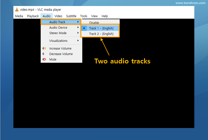 play video with two audio tracks, VLC Media Player