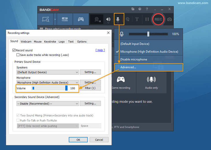 Bandicam, Windows mic levels